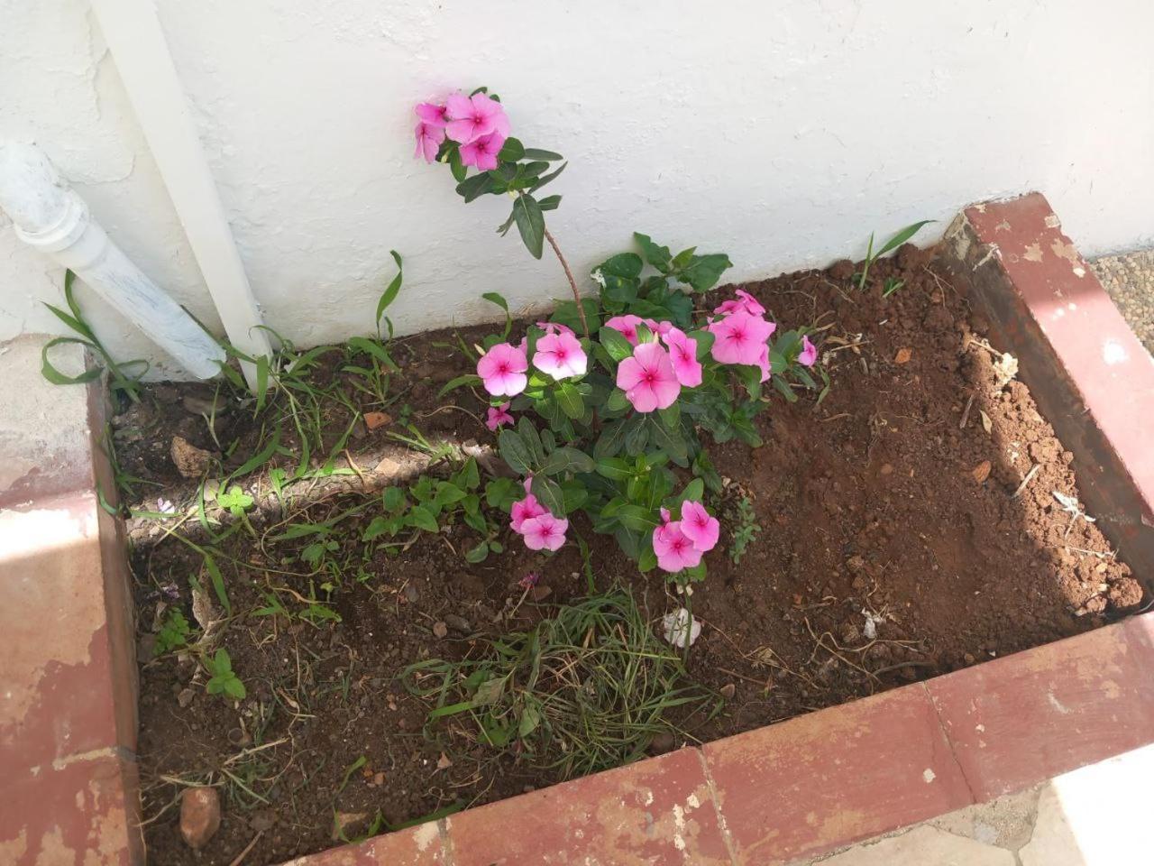Apartamento GuidalBarone 3 Castellammare del Golfo Exterior foto